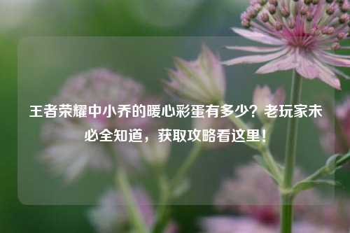王者荣耀中小乔的暖心彩蛋有多少?老玩家未必全知道,获取攻略看这里!