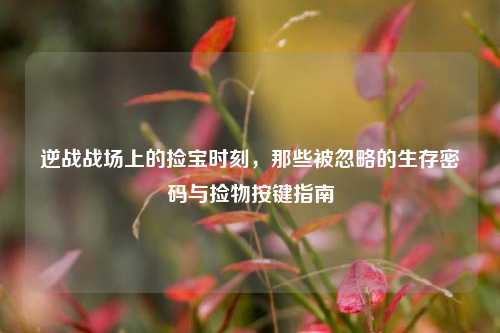 逆战战场上的捡宝时刻,那些被忽略的生存密码与捡物按键指南