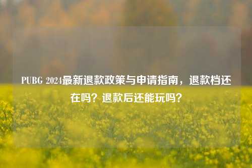 PUBG 2024最新退款政策与申请指南,退款档还在吗?退款后还能玩吗?