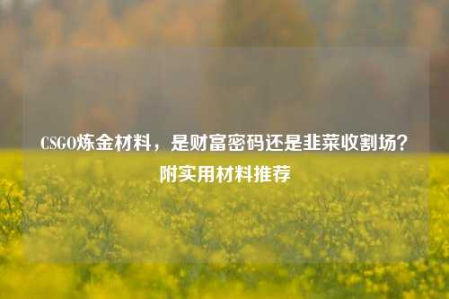 CSGO炼金材料,是财富密码还是韭菜收割场?附实用材料推荐