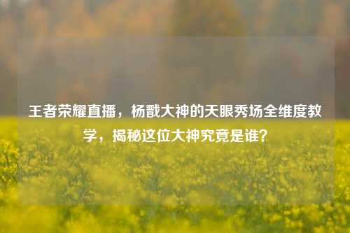 王者荣耀直播,杨戬大神的天眼秀场全维度教学,揭秘这位大神究竟是谁?