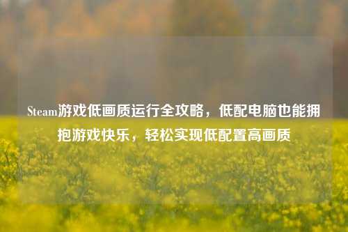 Steam游戏低画质运行全攻略,低配电脑也能拥抱游戏快乐,轻松实现低配置高画质