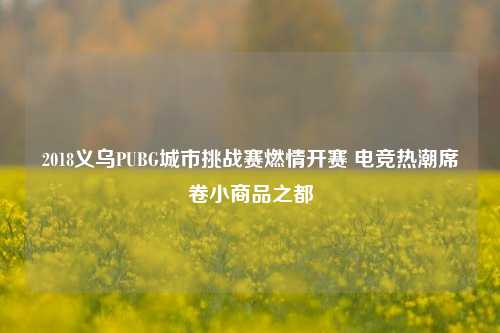 2018义乌PUBG城市挑战赛燃情开赛 电竞热潮席卷小商品之都