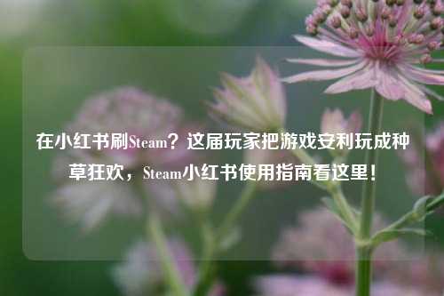 在小红书刷Steam?这届玩家把游戏安利玩成种草狂欢,Steam小红书使用指南看这里!