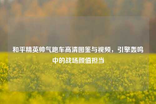 和平精英帅气跑车高清图鉴与视频,引擎轰鸣中的战场颜值担当