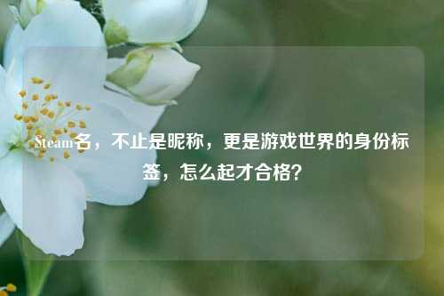 Steam名,不止是昵称,更是游戏世界的身份标签,怎么起才合格?