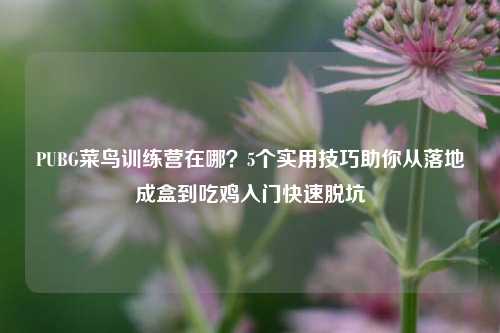 PUBG菜鸟训练营在哪?5个实用技巧助你从落地成盒到吃鸡入门快速脱坑