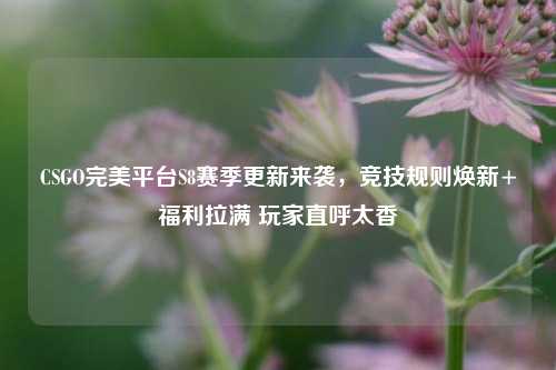 CSGO完美平台S8赛季更新来袭,竞技规则焕新+福利拉满 玩家直呼太香
