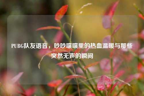 PUBG队友语音,吵吵嚷嚷里的热血温暖与那些突然无声的瞬间