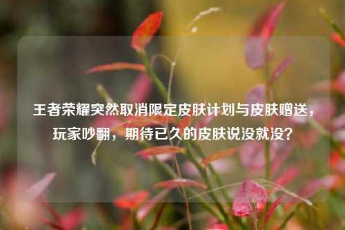 王者荣耀突然取消限定皮肤计划与皮肤赠送,玩家吵翻,期待已久的皮肤说没就没?
