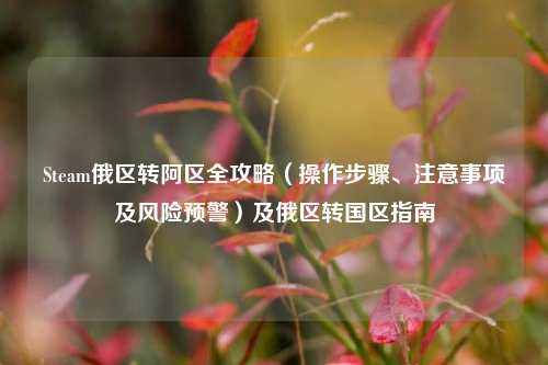 Steam俄区转阿区全攻略(操作步骤、注意事项及风险预警)及俄区转国区指南