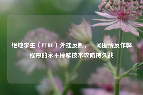 绝地求生（PUBG）外挂反制，一场围绕反作弊程序的永不停歇技术攻防持久战