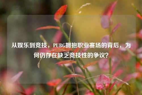 从娱乐到竞技,PUBG拥抱职业赛场的背后,为何仍存在缺乏竞技性的争议?
