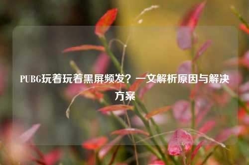 PUBG玩着玩着黑屏频发?一文解析原因与解决方案