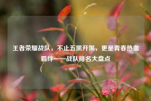 王者荣耀战队,不止五黑开黑,更是青春热血羁绊——战队排名大盘点