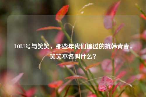 LOL7号与笑笑,那些年我们追过的抗韩青春,笑笑本名叫什么?