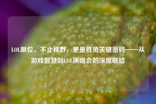 LOL眼位，不止视野，更是胜负关键密码——从游戏智慧到LOL演唱会的深度联结
