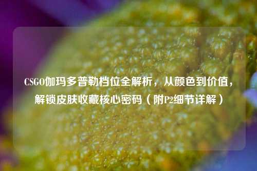 CSGO伽玛多普勒档位全解析，从颜色到价值，解锁皮肤收藏核心密码（附P2细节详解）