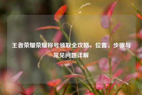 王者荣耀荣耀称号领取全攻略，位置、步骤与常见问题详解