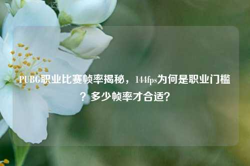 PUBG职业比赛帧率揭秘,144fps为何是职业门槛?多少帧率才合适?