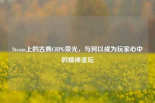Steam上的古典CRPG荣光,与何以成为玩家心中的精神圣坛
