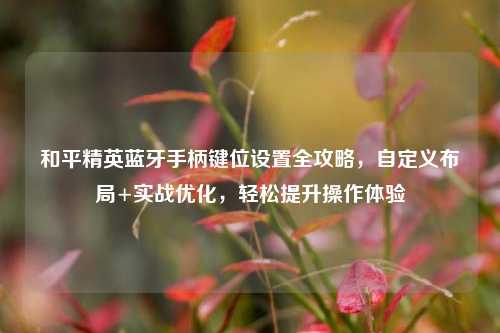 和平精英蓝牙手柄键位设置全攻略,自定义布局+实战优化,轻松提升操作体验