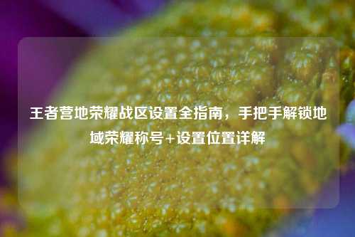 王者营地荣耀战区设置全指南,手把手解锁地域荣耀称号+设置位置详解