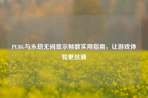 PUBG与永劫无间显示帧数实用指南,让游戏体验更丝滑