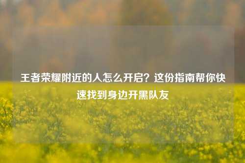 王者荣耀附近的人怎么开启?这份指南帮你快速找到身边开黑队友