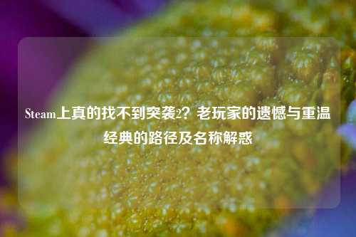 Steam上真的找不到突袭2?老玩家的遗憾与重温经典的路径及名称解惑