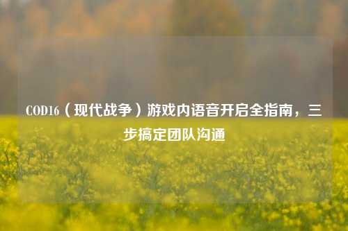 COD16（现代战争）游戏内语音开启全指南，三步搞定团队沟通