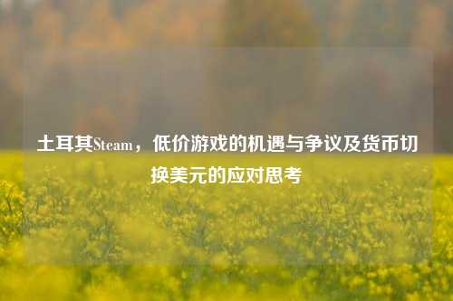 土耳其Steam,低价游戏的机遇与争议及货币切换美元的应对思考