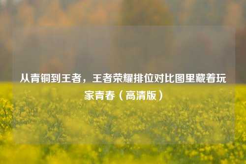 从青铜到王者，王者荣耀排位对比图里藏着玩家青春（高清版）