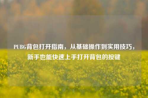 PUBG背包打开指南，从基础操作到实用技巧，新手也能快速上手打开背包的按键