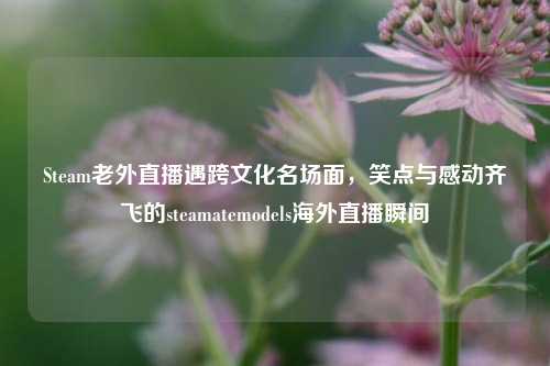Steam老外直播遇跨文化名场面，笑点与感动齐飞的steamatemodels海外直播瞬间