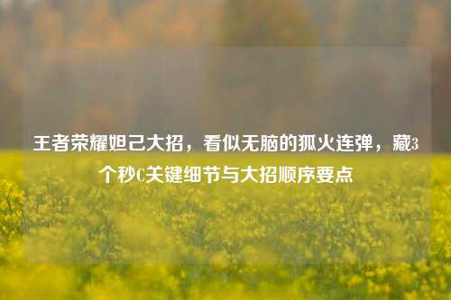 王者荣耀妲己大招,看似无脑的狐火连弹,藏3个秒C关键细节与大招顺序要点