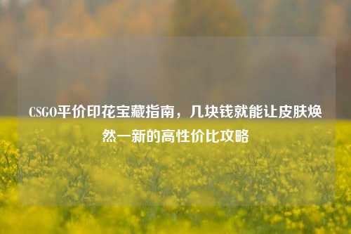 CSGO平价印花宝藏指南，几块钱就能让皮肤焕然一新的高性价比攻略