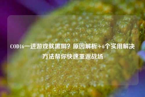 COD16一进游戏就黑屏？原因解析+6个实用解决 *** 帮你快速重返战场