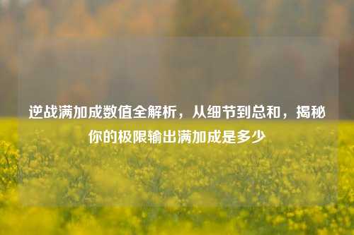 逆战满加成数值全解析，从细节到总和，揭秘你的极限输出满加成是多少