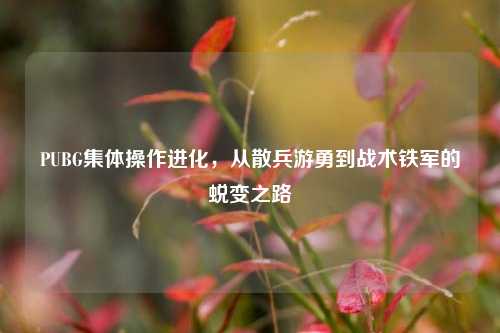 PUBG集体操作进化，从散兵游勇到战术铁军的蜕变之路