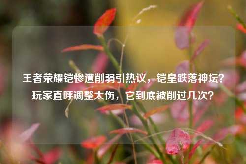 王者荣耀铠惨遭削弱引热议，铠皇跌落神坛？玩家直呼调整太伤，它到底被削过几次？