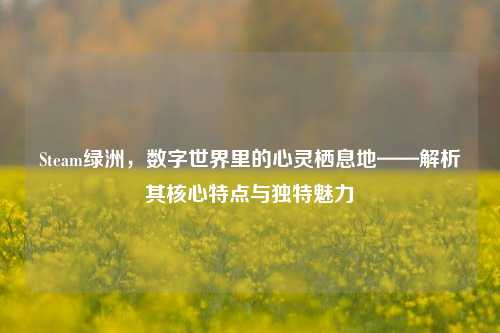 Steam绿洲，数字世界里的心灵栖息地——解析其核心特点与独特魅力