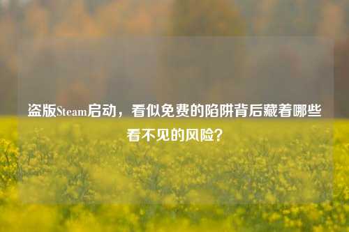 盗版Steam启动,看似免费的陷阱背后藏着哪些看不见的风险?