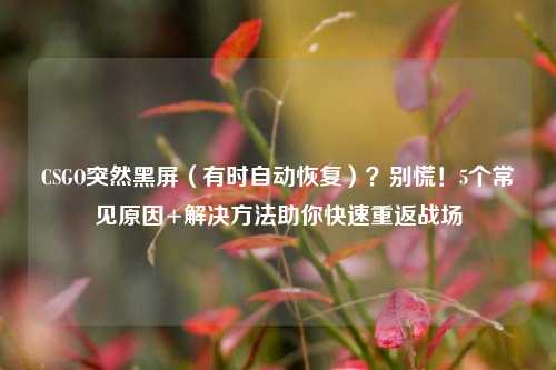 CSGO突然黑屏(有时自动恢复)?别慌!5个常见原因+解决 *** 助你快速重返战场