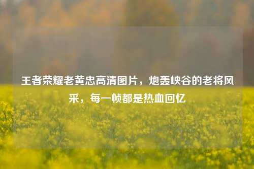 王者荣耀老黄忠高清图片,炮轰峡谷的老将风采,每一帧都是热血回忆