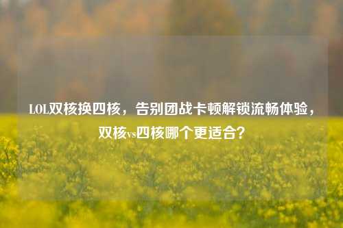 LOL双核换四核，告别团战卡顿解锁流畅体验，双核vs四核哪个更适合？