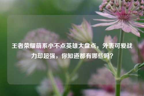 王者荣耀萌系小不点英雄大盘点，外表可爱战力却超强，你知道都有哪些吗？