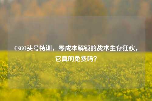 CSGO头号特训，零成本解锁的战术生存狂欢，它真的免费吗？