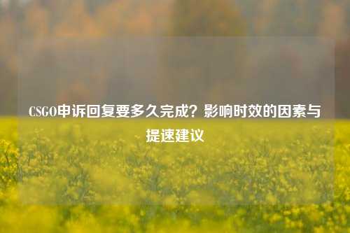 CSGO申诉回复要多久完成？影响时效的因素与提速建议