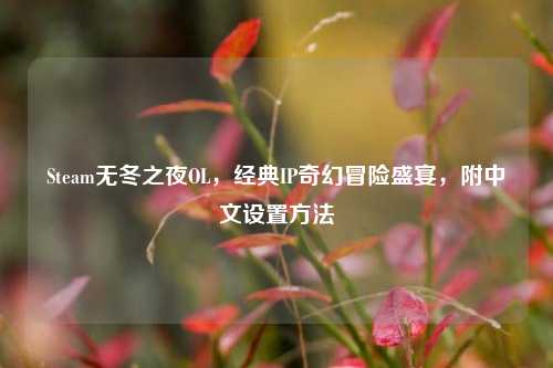 Steam无冬之夜OL，经典IP奇幻冒险盛宴，附中文设置 *** 